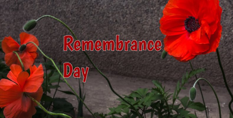 What is a good quote for remembrance day