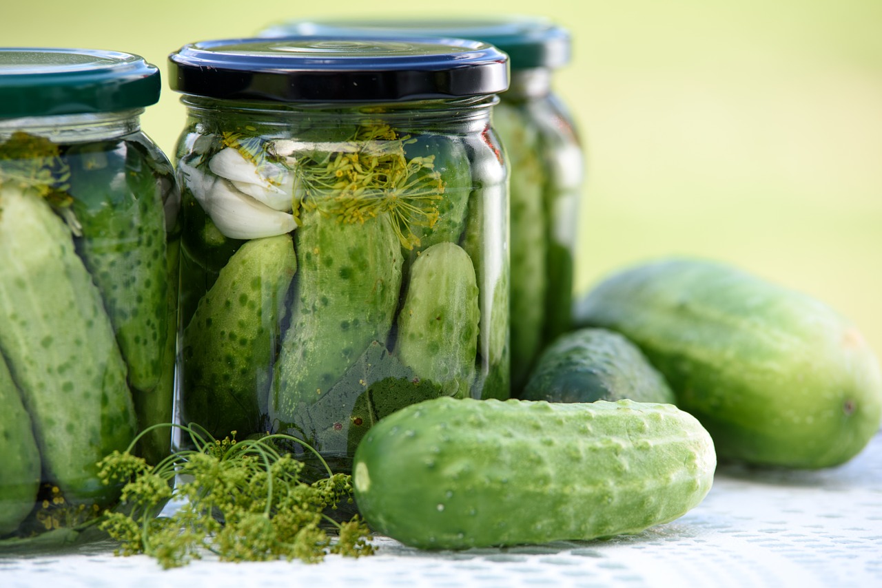 National Pickle Day in 2024/2025 When, Where, Why, How is Celebrated?