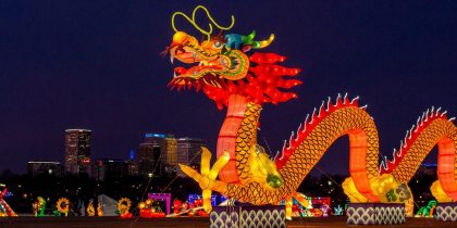 Dragon festival on sale