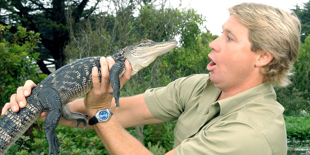 Steve Irwin Day in 2024/2025 When, Where, Why, How is Celebrated?