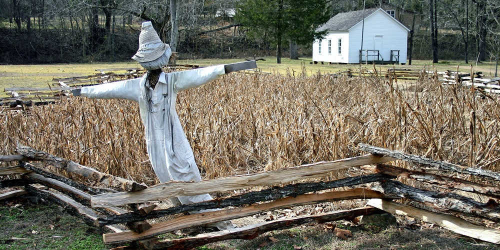 Build A Scarecrow Day in 2024/2025 When, Where, Why, How is Celebrated?