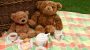 Teddy Bear Picnic Day-14959