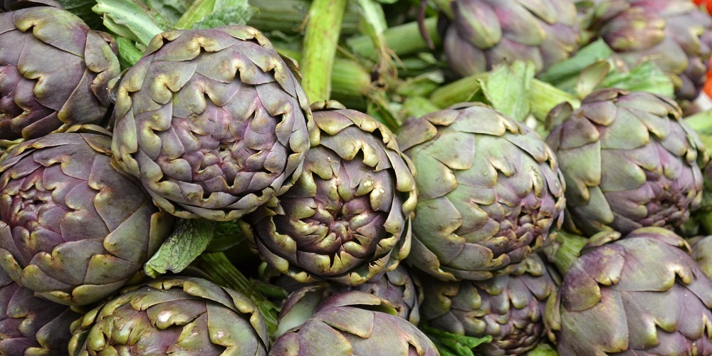 National Artichoke Day in 2024/2025 When, Where, Why, How is Celebrated?