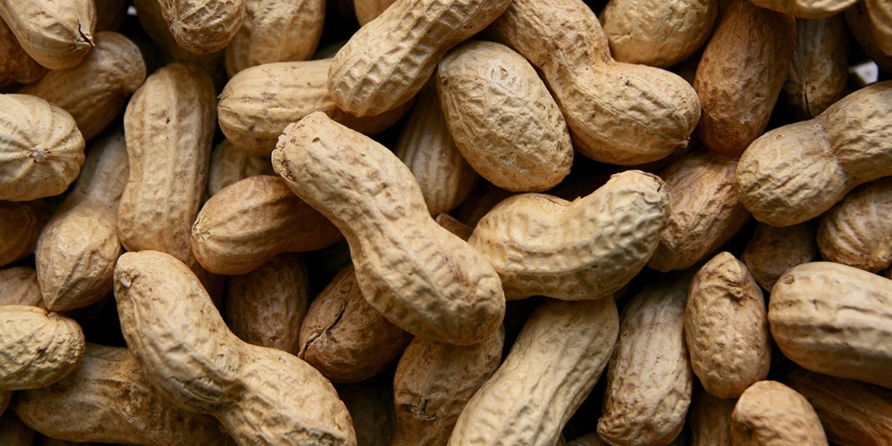 National Peanut Month in 2024/2025 When, Where, Why, How is Celebrated?